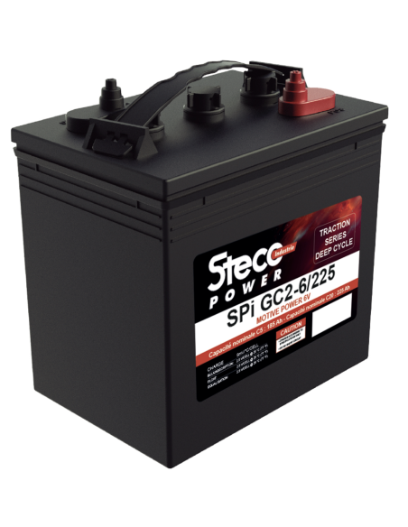 lot de 4 Batteries Steco 6V 225ah Deep cycles traction 24v Livraison incluse