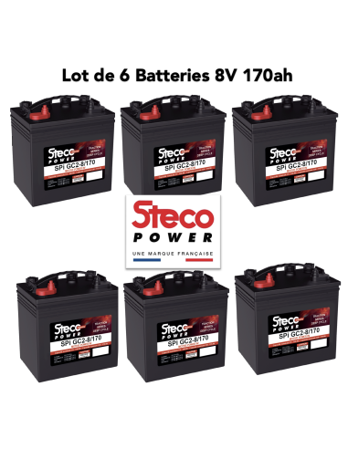 lot de 6 Batteries Steco 8V 170ah Deep cycles 48v traction Livraison incluse