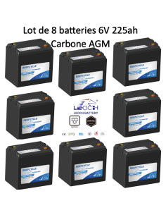 Lot de 8 Batteries 6V 224ah Leoch AGM / GEL Carbone LDC6-224