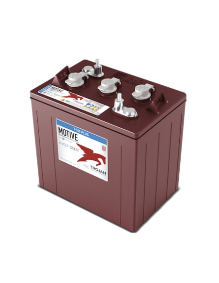 Lot de 8 Batteries Trojan T-105 en  6V 225ah Deep cycles Livraison incluse