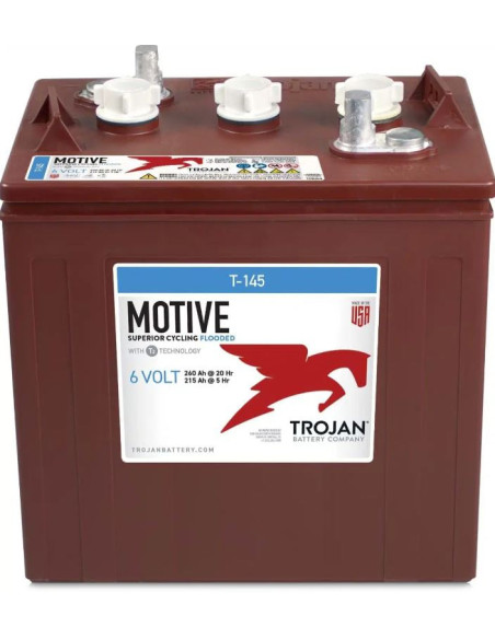 Lot de 6 Batteries Trojan T-125 en  6V 240ah Deep cycles Livraison incluse