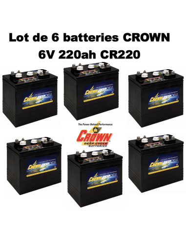 Lot de 6 Batteries Crown en  6V 220ah Deep cycles CR220 Livraison incluse