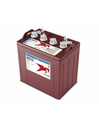 Lot de 6 Batteries Trojan T-875 en  8V 170ah Deep cycles 48V Livraison incluse