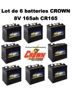 Lot de 8 Batteries Crown en  8V 170ah Deep cycles CR165 Livraison incluse