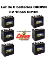 Lot de 8 Batteries Crown en  8V 170ah Deep cycles CR165 Livraison incluse