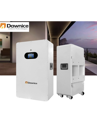 Batterie Lithium LifeP04 Dawnice 48v 10KWH Garantie 12 ans Livraison incluse