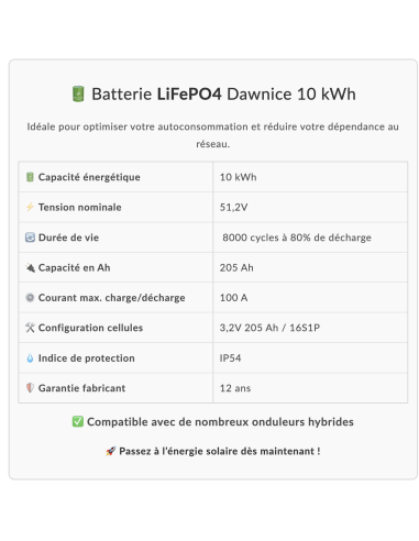 Batterie Lithium Dawnice 48v 5KWH Garantie 12 ans Livraison incluse