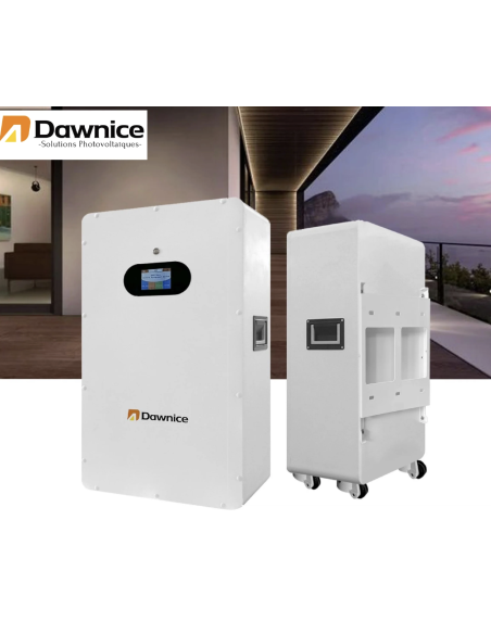 Batterie Lithium LifeP04 Dawnice 48v 16KWH Garantie 12 ans Livraison incluse