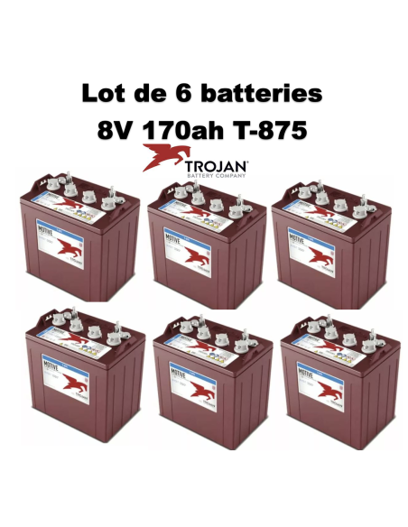Batterie Trojan T-875 en  8V 170ah Deep cycles Livraison incluse