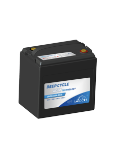 Batterie 6V 224ah Leoch AGM / GEL Carbone Livraison incluse