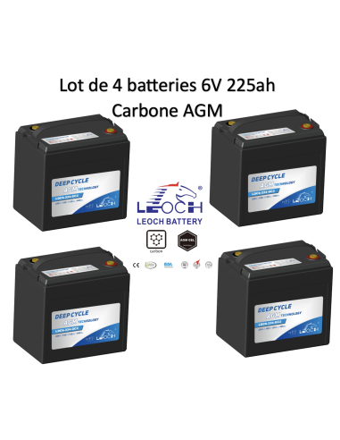 Batterie 6V 224ah Leoch AGM / GEL Carbone Livraison incluse