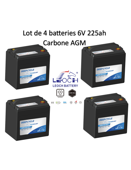 Batterie 6V 224ah Leoch AGM / GEL Carbone Livraison incluse