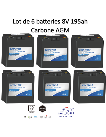 Batterie 8V 195ah Leoch AGM / GEL Carbone LDC8-195