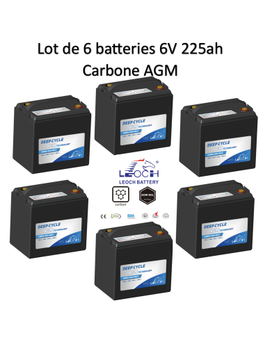 Batterie 6V 224ah Leoch AGM / GEL Carbone Livraison incluse