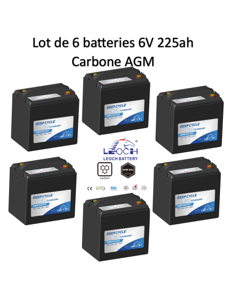 Batterie 6V 224ah Leoch AGM / GEL Carbone Livraison incluse